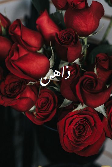اسم ذاهن صور رومانسية بالورد