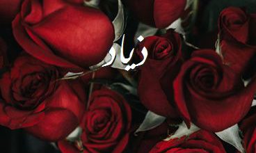 اسم ذياد صور رومانسية بالورد