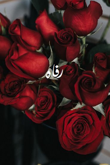 اسم رفاه صور رومانسية بالورد