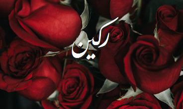 اسم ركين صور رومانسية بالورد