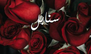 اسم سنابل صور رومانسية بالورد