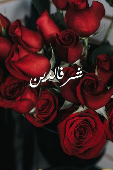 اسم شرفالدين صور رومانسية بالورد