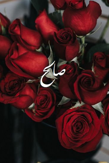 اسم صالح صور رومانسية بالورد