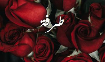 اسم طرفة صور رومانسية بالورد