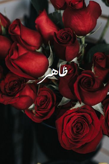اسم ظاهر صور رومانسية بالورد