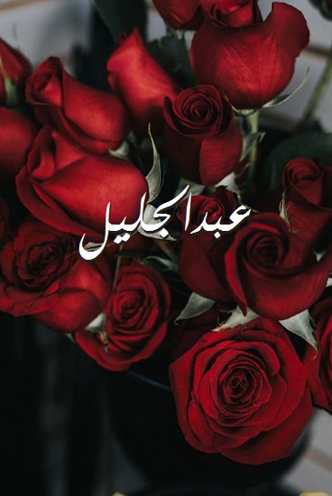 اسم عبدالجليل صور رومانسية بالورد