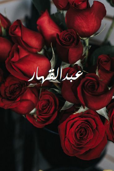 اسم عبدالقهار صور رومانسية بالورد