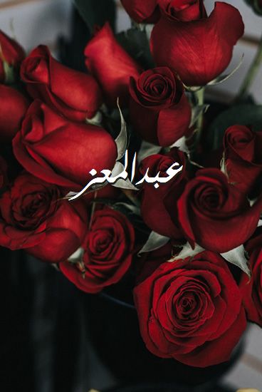 اسم عبدالمعز صور رومانسية بالورد