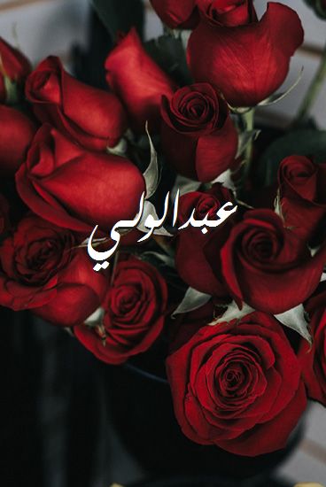 اسم عبدالولـي صور رومانسية بالورد