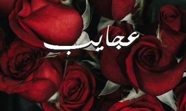 اسم عجايب صور رومانسية بالورد