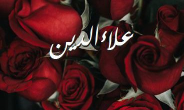 اسم علاءالدين صور رومانسية بالورد