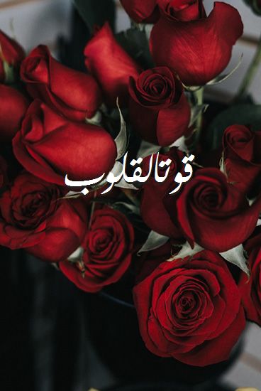 اسم قوتالقلوب صور رومانسية بالورد