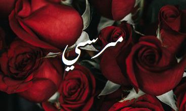 اسم مرسي صور رومانسية بالورد