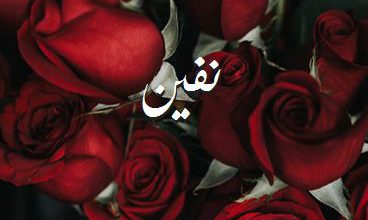 اسم نفين صور رومانسية بالورد