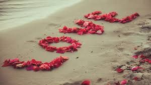 حب بالورد على الشاطئ صور حب ورومانسية