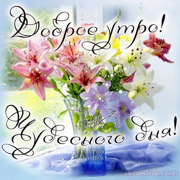 https://www.iimagez.com/wp-content/uploads/2019/03/%D0%B4%D0%BE%D0%B1%D1%80%D0%BE%D0%B5-%D1%83%D1%82%D1%80%D0%BE-%D0%B8-%D1%85%D0%BE%D1%80%D0%BE%D1%88%D0%B5%D0%B3%D0%BE-%D0%B4%D0%BD%D1%8F-%D0%BE%D1%82%D0%BA%D1%80%D1%8B%D1%82%D0%BA%D0%B8.jpg