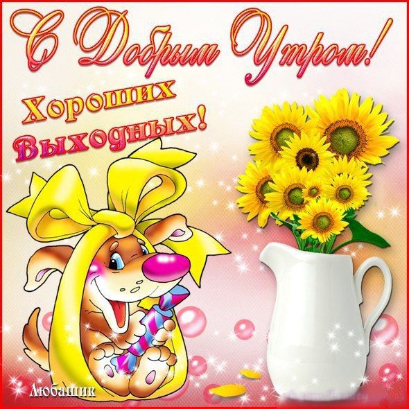 https://www.iimagez.com/wp-content/uploads/2019/03/%D1%81%D0%B0%D0%BC%D0%BE%D0%B5-%D0%B4%D0%BE%D0%B1%D1%80%D0%BE%D0%B5-%D1%83%D1%82%D1%80%D0%BE-%D0%BE%D1%82%D0%BA%D1%80%D1%8B%D1%82%D0%BA%D0%B8.jpg