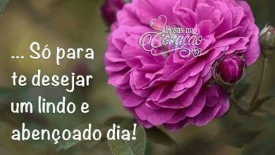 A Frase Da Semana