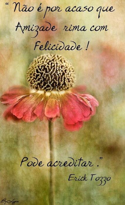 Amizade Amigo