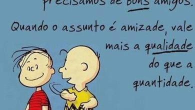 Amizade Frases Curtas Para Facebook