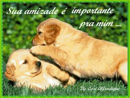 Amizade É Frases