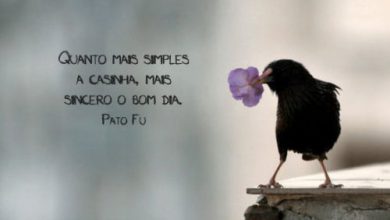 As Melhores Frases De Bom Dia Para Facebook