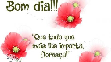 Bela Frase De Bom Dia Para Facebook