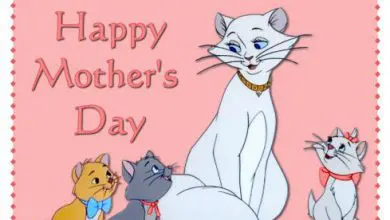 Best Wishes Of Mothers Day