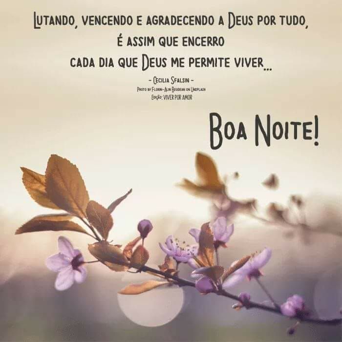 Boa Noite Boa Noite Para Whatsapp