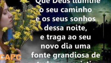 Boa Noite Frases Para Whatsapp