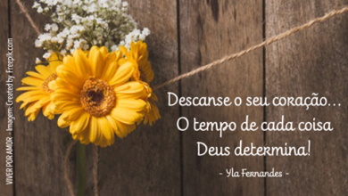 Boa Noite Legais Para Facebook