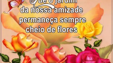 Boa Tarde Amor Meu