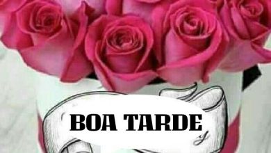 Boa Tarde Com Carinho