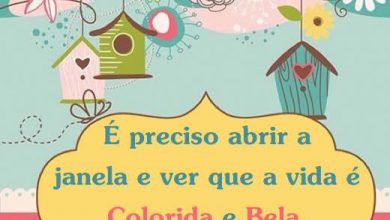 Boa Tarde E Feliz Domingo Para Facebook