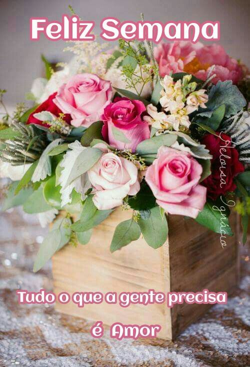 Bom Dia Abençoada Semana Para Whatsapp