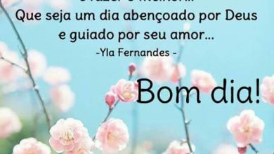 Bom Dia Alegre Frases Para Facebook