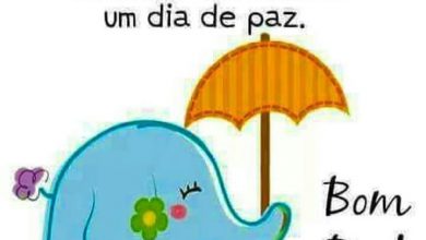 Bom Dia Com Carinho Frases Para Facebook