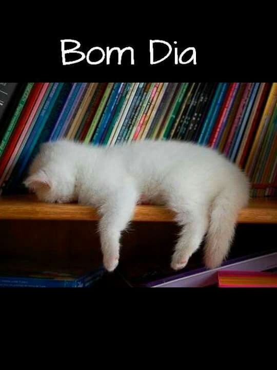 Bom Dia Com Frases Lindas Para Facebook