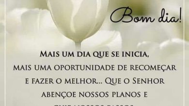 Bom Dia Dia Lindo Frases Para Whatsapp