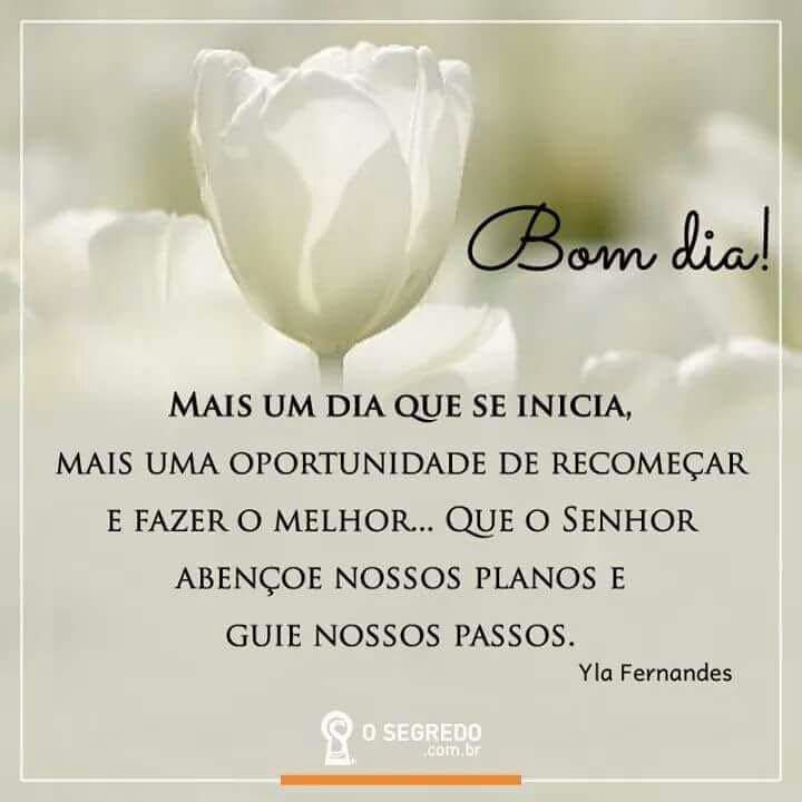 Bom Dia Dia Lindo Frases Para Whatsapp