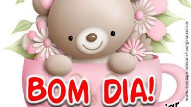 Bom Dia Especial Frases Para Whatsapp