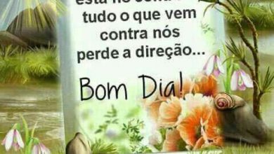 Bom Dia Feliz Frases