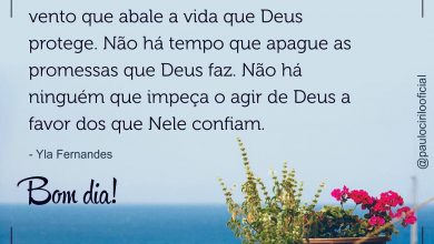 Bom Dia Feliz Frases Para Whatsapp