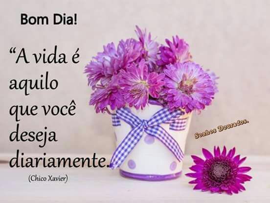 Bom Dia Frases De Bom Dia Para Whatsapp