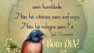 Bom Dia Mensagens Bonitas