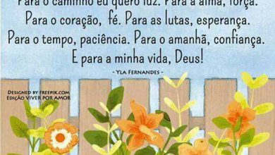 Bom Dia Mundo Frases Para Whatsapp