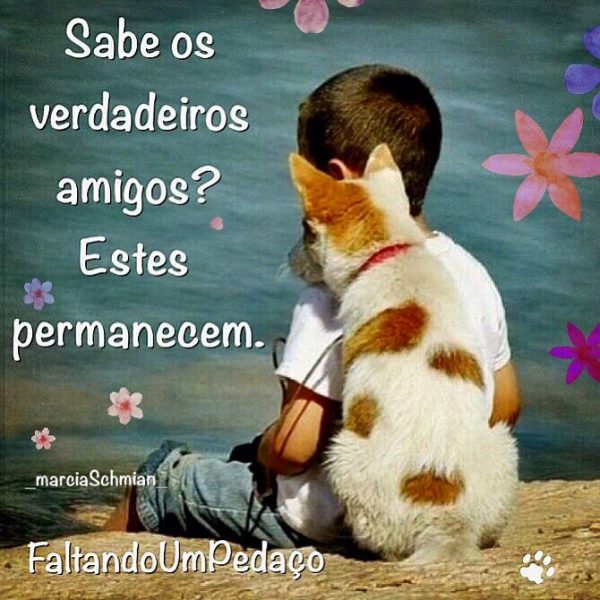 Dedicatorias De Amizade Para Uma Amiga