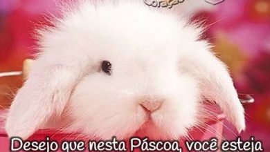 Feliz Pascoa Com Amor