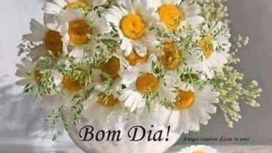 Frade Bom Dia