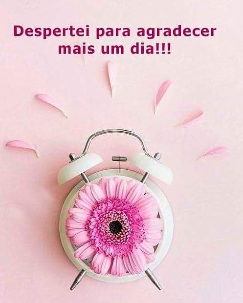 Frase D Bom Dia Para Uma Pessoa Especial Para Whatsapp